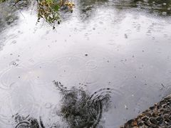 -黑龙江省森林植物园