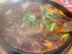 -老板恋上鱼(恒隆广场店)