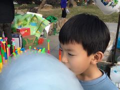 -永安龟山公园