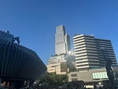 -星光大道