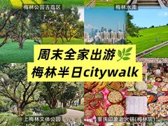 -重庆印象老火锅(梅林店)