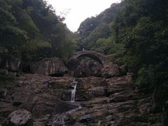 -四明山国家森林公园