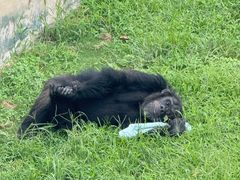 -西霞口神雕山野生动物世界