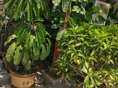 -梨木台悦来客农家院