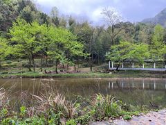 -水墨汀溪风景区