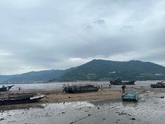 -北岐滩涂