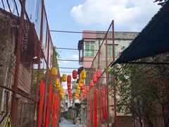 -长洲岛