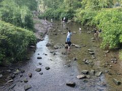 -重庆彩云湖湿地公园