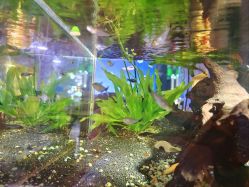 -青木造型HAIR·あおき髪を刈る潮人店