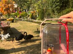 -HERRE·FARM 赫尔露营农场·团建聚会包场