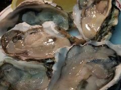 生蚝-广州花园酒店-凌璇阁360度高空海鲜自助餐CAROUSEL