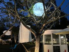 -芭厘农庄老字号·清远鸡