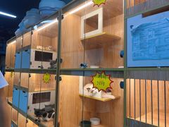 -小呆的宠物店·宠物售卖·宠物寄养(城西店)