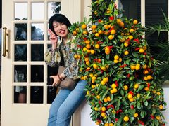 -Long Bar(莱佛士酒店)