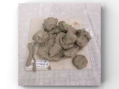 -tomato蕃茄田艺术(新天地中心)