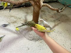-上海大自然野生昆虫馆(东方明珠·爬宠昆虫探索中心)