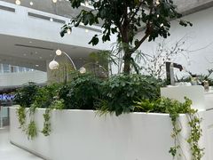 -大树餐厅(红旗街万达店)