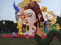 -上海长兴岛郊野公园