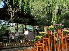 -张鸟园农家乐(张鸟园店)