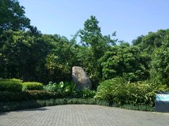 -福建鲤鱼洲酒店