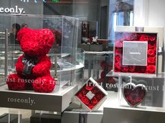 -ROSEONLY诺誓(广州K11店)