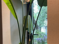 -BOCATA 西班牙餐厅(三里屯店)