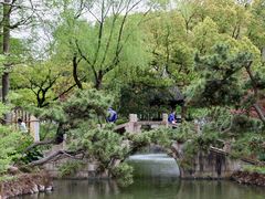 -上海醉白池公园
