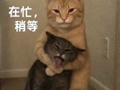 -九十九顶毡房(清河店)