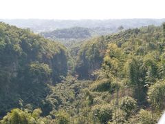 -川西竹海景区