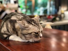 -咖法森林·咖啡  酒吧(天河店)