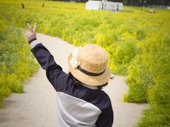 -天津武清北运河郊野公园房车露营地