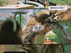 -广州长隆野生动物世界