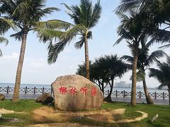 -万绿园