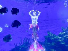 -海合安武汉极地海洋公园