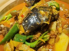 红焖甲鱼煲-龙巢盱眙龙虾·牛蛙·烧烤宵夜(八卦岭店)