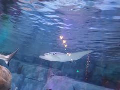 -沈阳海洋探索中心