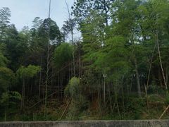 -四明湖