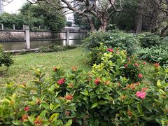 -晓港公园