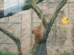 -南昌动物园
