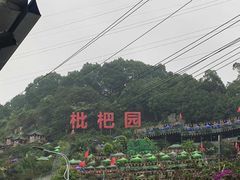 -枇杷园食为鲜火锅(南山店)