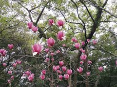 -乌山风景区