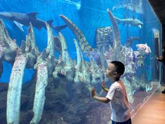 -波塞冬旅游度假区