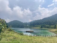 -武陵山森林公园