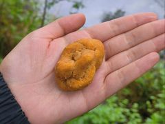 经典原味麻花-陈昌银麻花(磁器口3号店)