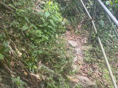 -万泉河漂流