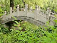 -大望京公园