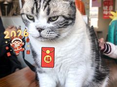 -小时光咖啡馆(开森度假森林店)