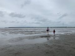 -碧海金沙