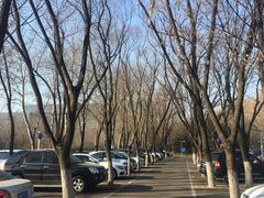 -奥林匹克森林公园南门-停车场