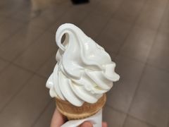 -麦当劳(南京路2店)